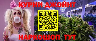 тгк Кингисепп