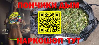 тгк Кингисепп