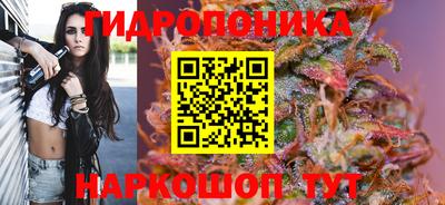 тгк Кингисепп