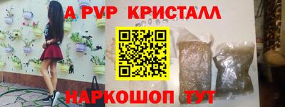 тгк Кингисепп